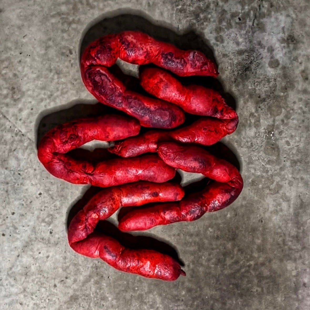 INTESTINES